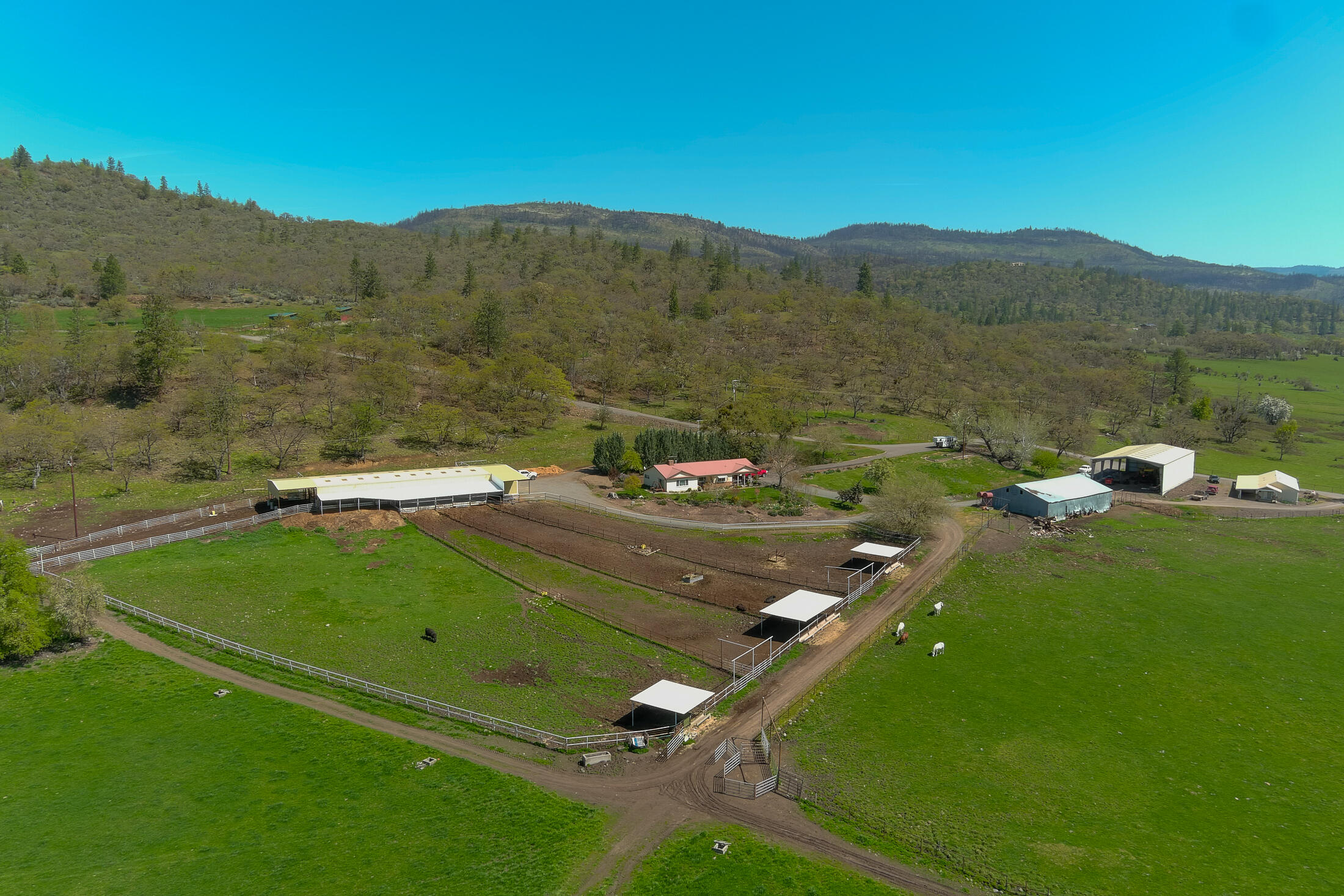 1881 Brophy Road Eagle Point, OR 97524 - Photo 103 of 130 101
