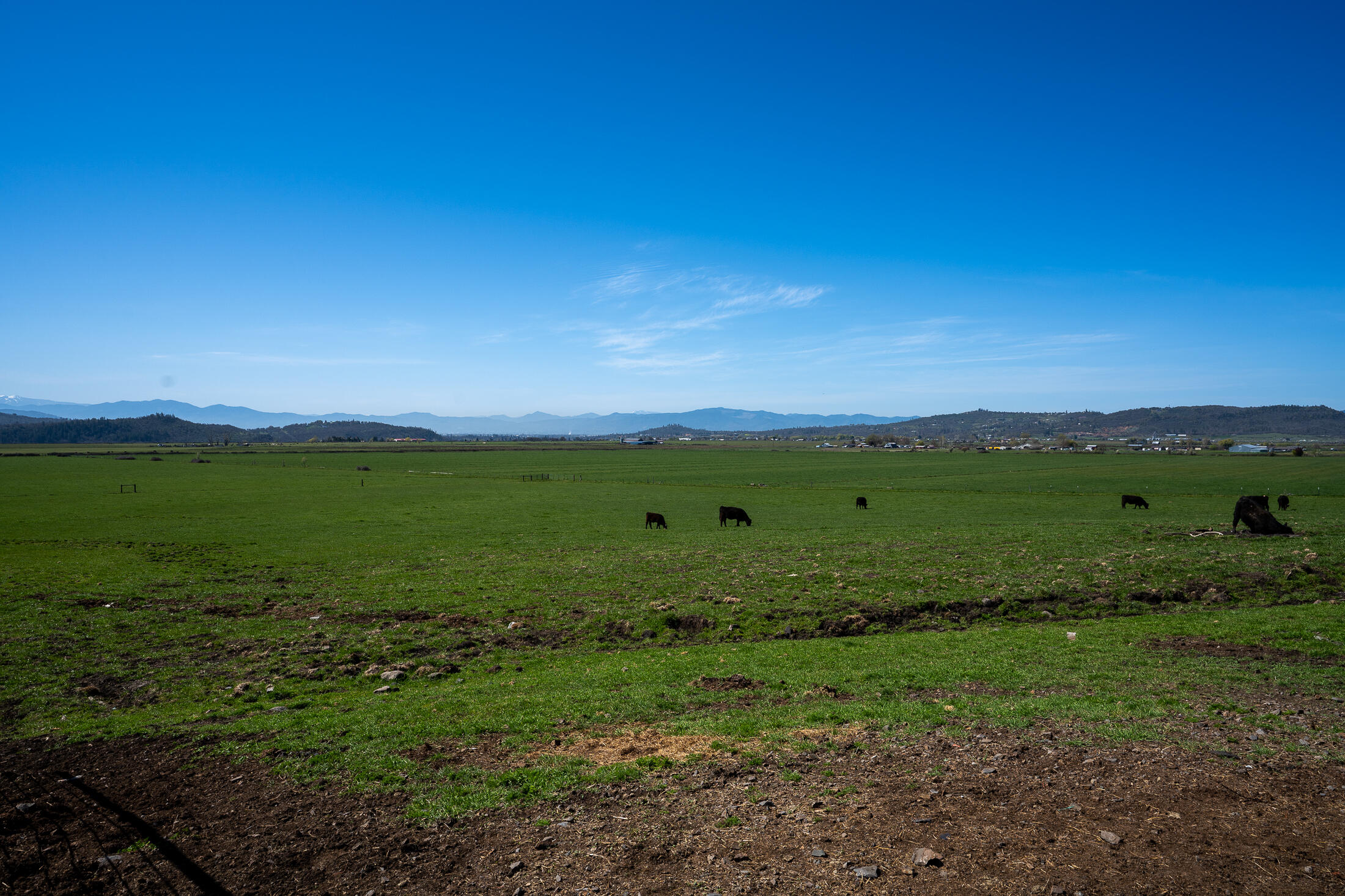 1881 Brophy Road Eagle Point, OR 97524 - Photo 108 of 130 107