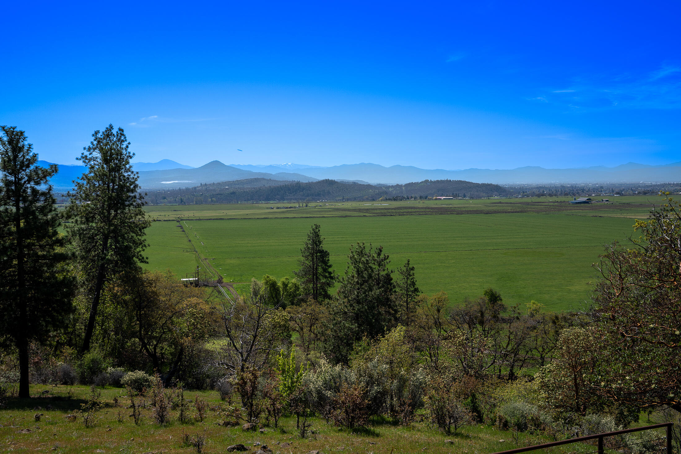 1881 Brophy Road Eagle Point, OR 97524 - Photo 118 of 130 116