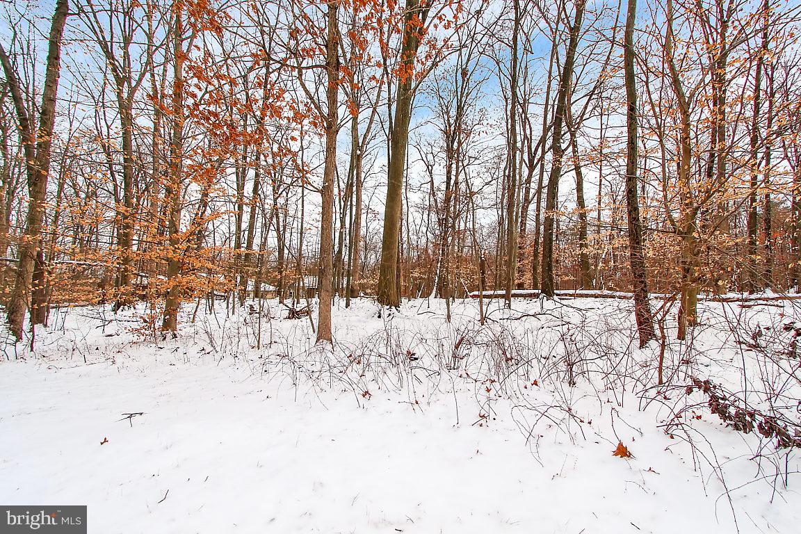 275 Cartref Road Etters, PA 17319 - Photo 22 of 25 Gallery Image 22