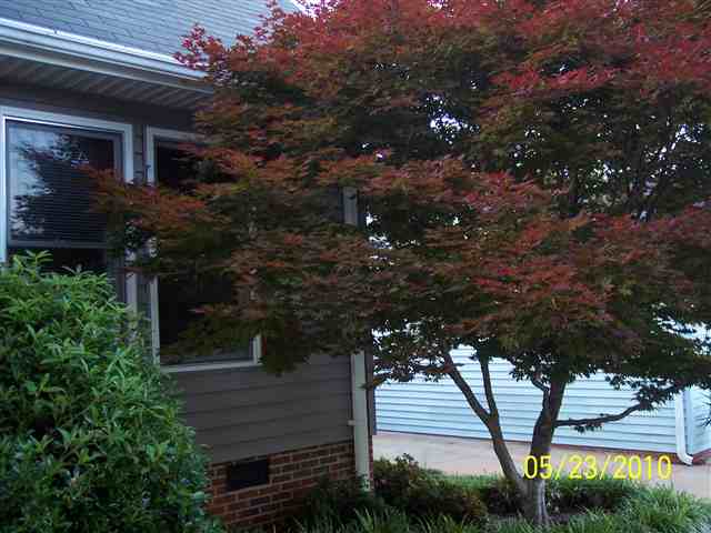 104 Patio Road Easley, SC 29642 - Photo 21 of 25 Gallery Image 21
