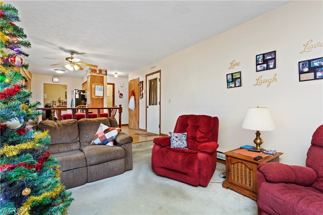 3465 Yost Road Litchfield, OH 44253 - Photo 8 of 27 Living room with ceiling fan