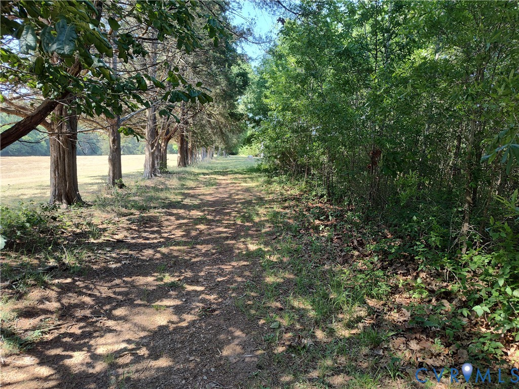 13110 Continental Road Wilsons, VA 23894 - Photo 56 of 61
