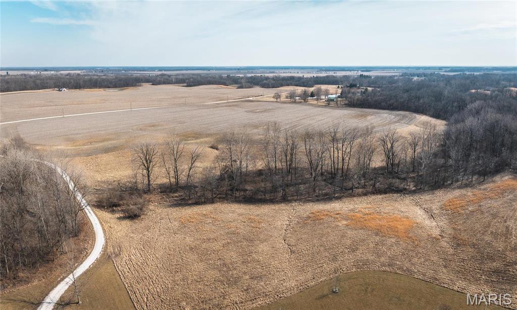 272 Northeast 1350th Avenue Greenfield, IL 62044 - Photo 54 of 71