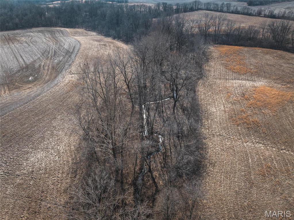 272 Northeast 1350th Avenue Greenfield, IL 62044 - Photo 58 of 71