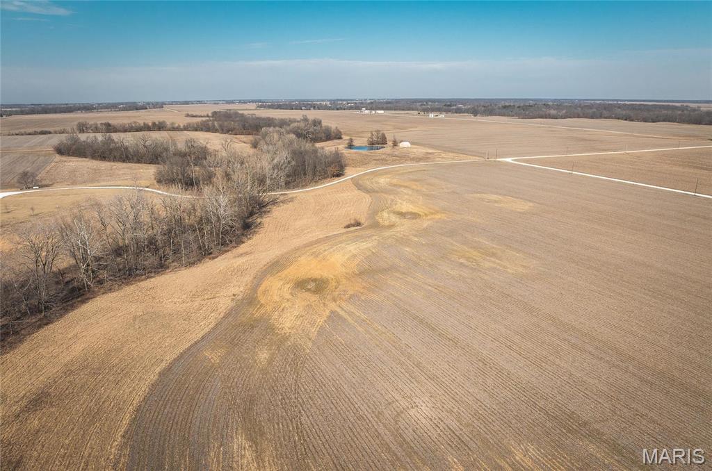 272 Northeast 1350th Avenue Greenfield, IL 62044 - Photo 63 of 71