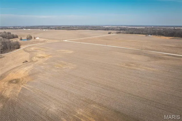 $949,500 | 272 Northeast 1350th Avenue, Greenfield, IL 62044