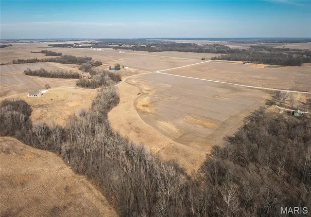 $949,500 | 272 Northeast 1350th Avenue, Greenfield, IL 62044