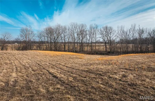 $949,500 | 272 Northeast 1350th Avenue, Greenfield, IL 62044