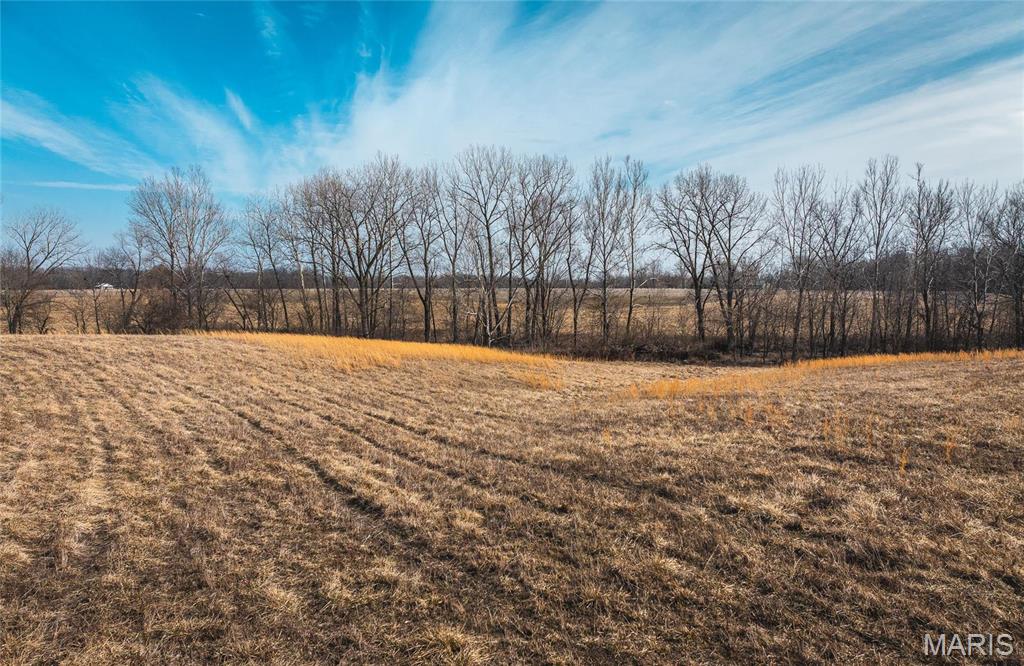 272 Northeast 1350th Avenue Greenfield, IL 62044 - Photo 69 of 71