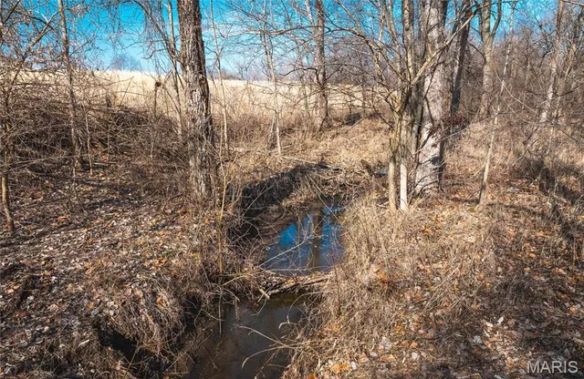 $949,500 | 272 Northeast 1350th Avenue, Greenfield, IL 62044