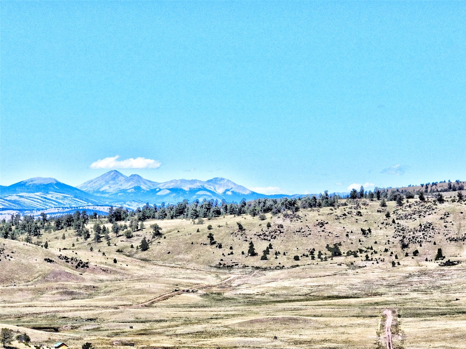 3972 Seneca Road Hartsel, CO 80449 - Photo 11 of 12 View of mountain feature