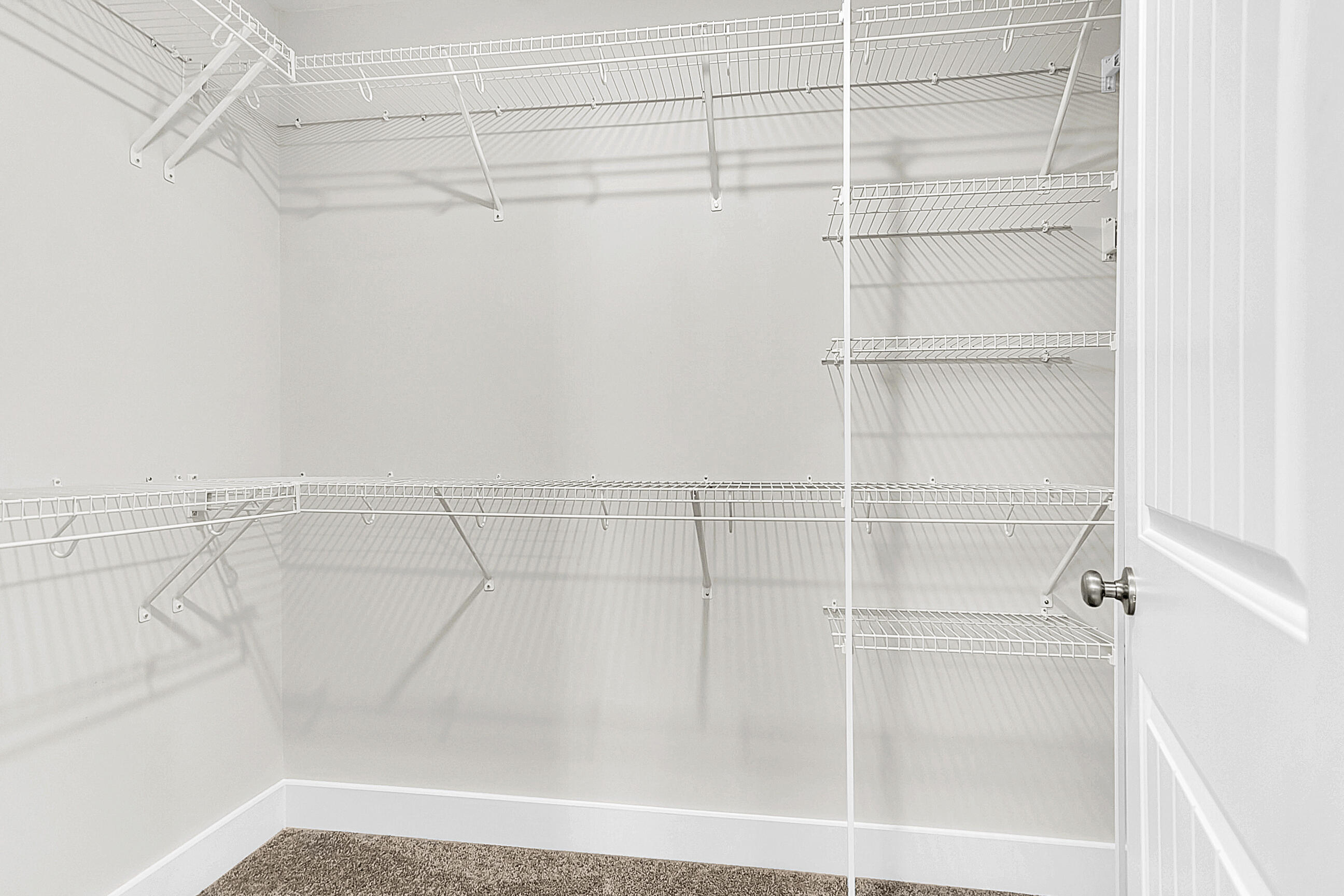 462 Rowley Lane Summerville, SC 29486 - Photo 35 of 92 Primary Closet 2