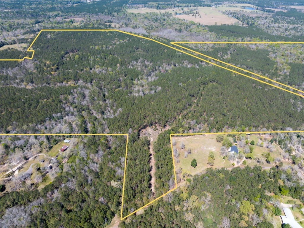 526 Mt Pisgah Road Woodville, TX 75979 - Photo 2 of 23 a view of a lake view