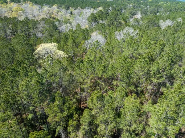 $2,164,500 | 526 Mt Pisgah Road, Woodville, TX 75979