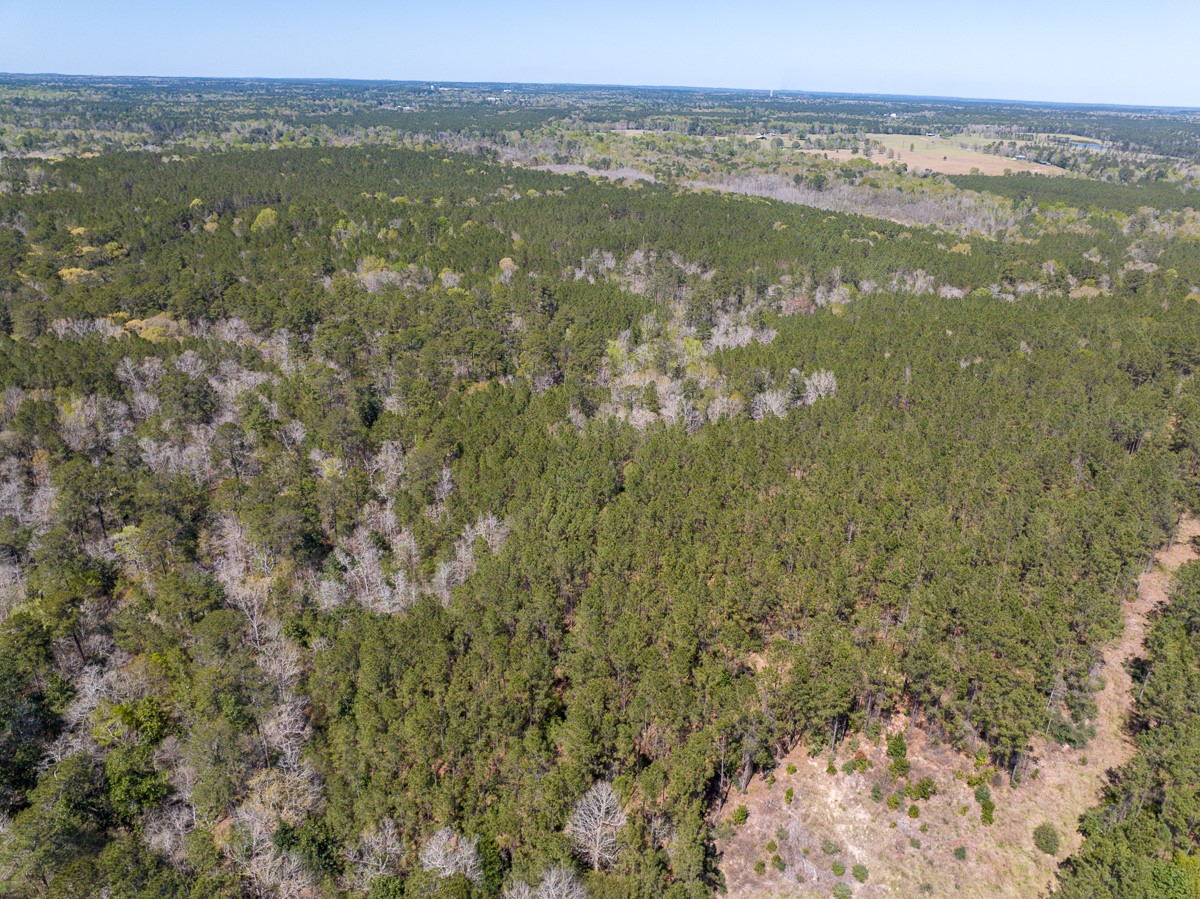 526 Mt Pisgah Road Woodville, TX 75979 - Photo 7 of 23 a view of lake with mountain view