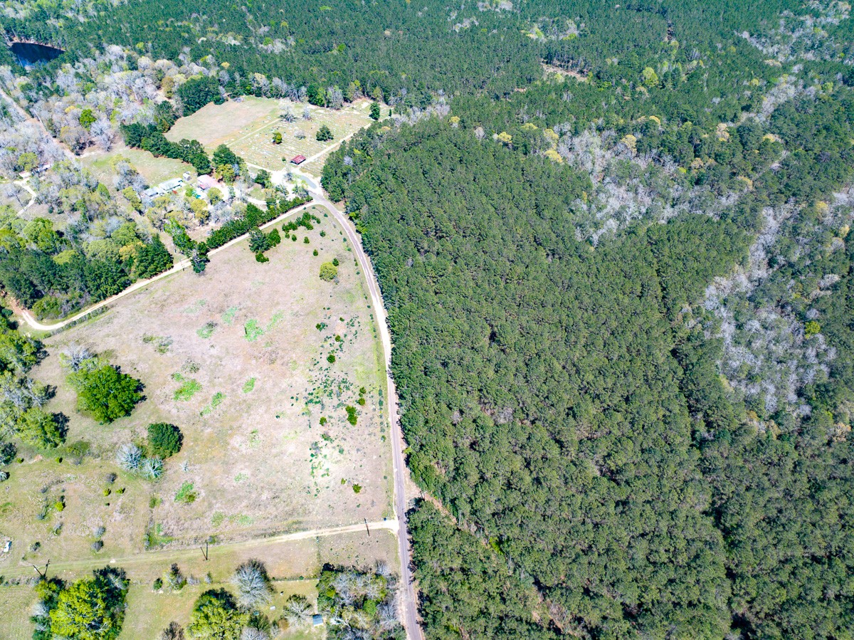 526 Mt Pisgah Road Woodville, TX 75979 - Photo 9 of 23 a view of a garden