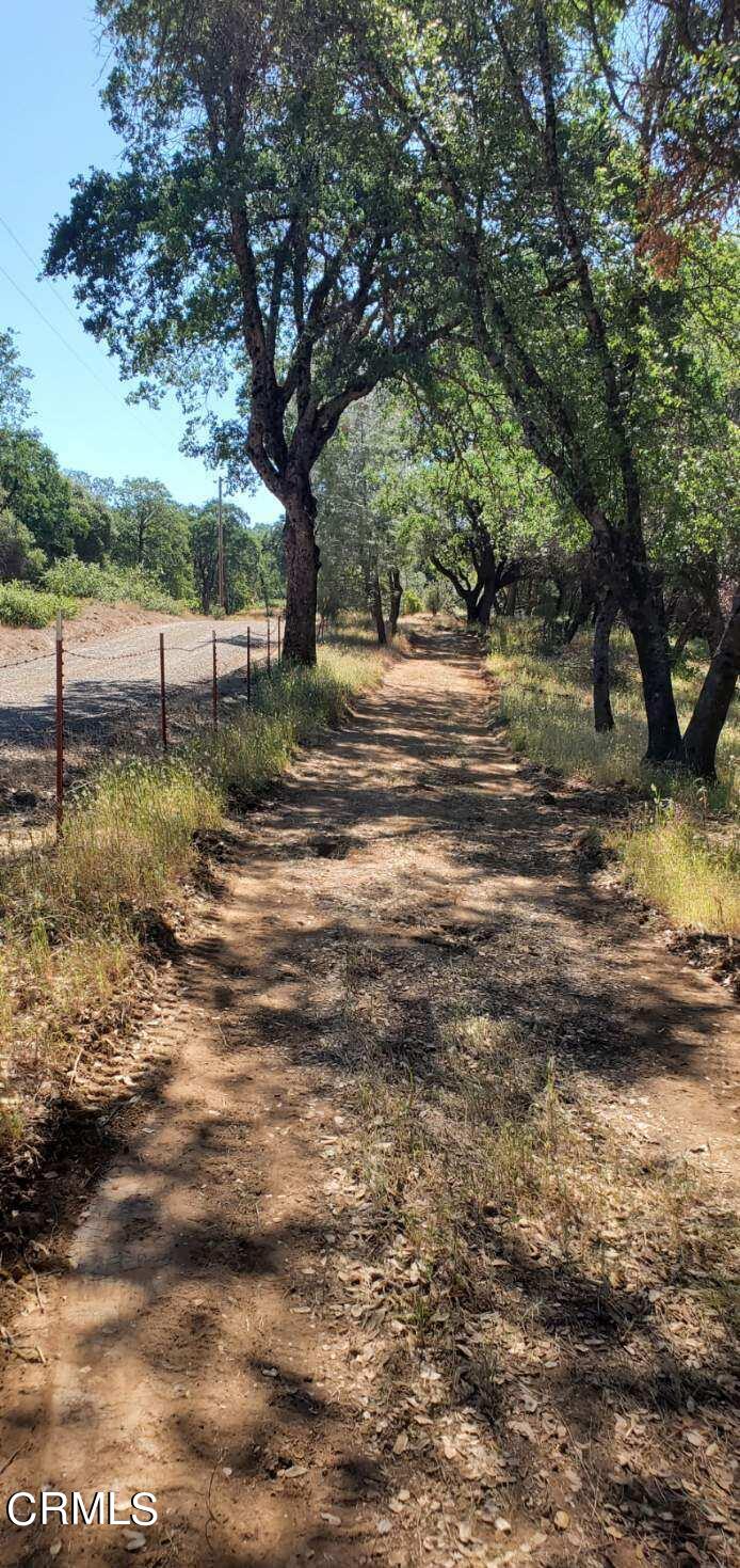 5835 Allred Road Mariposa, CA 95338 - Photo 3 of 14 mph5N16244898868351