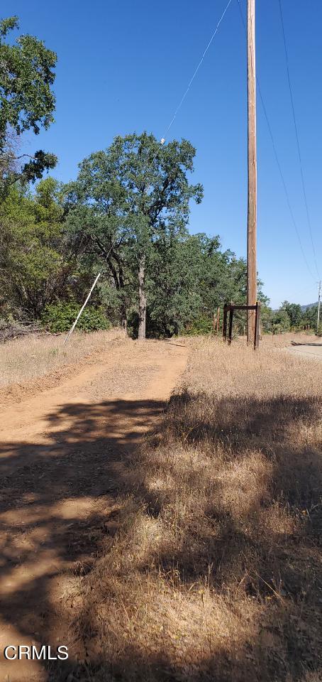 5835 Allred Road Mariposa, CA 95338 - Photo 4 of 14 oz7mu16244903178389