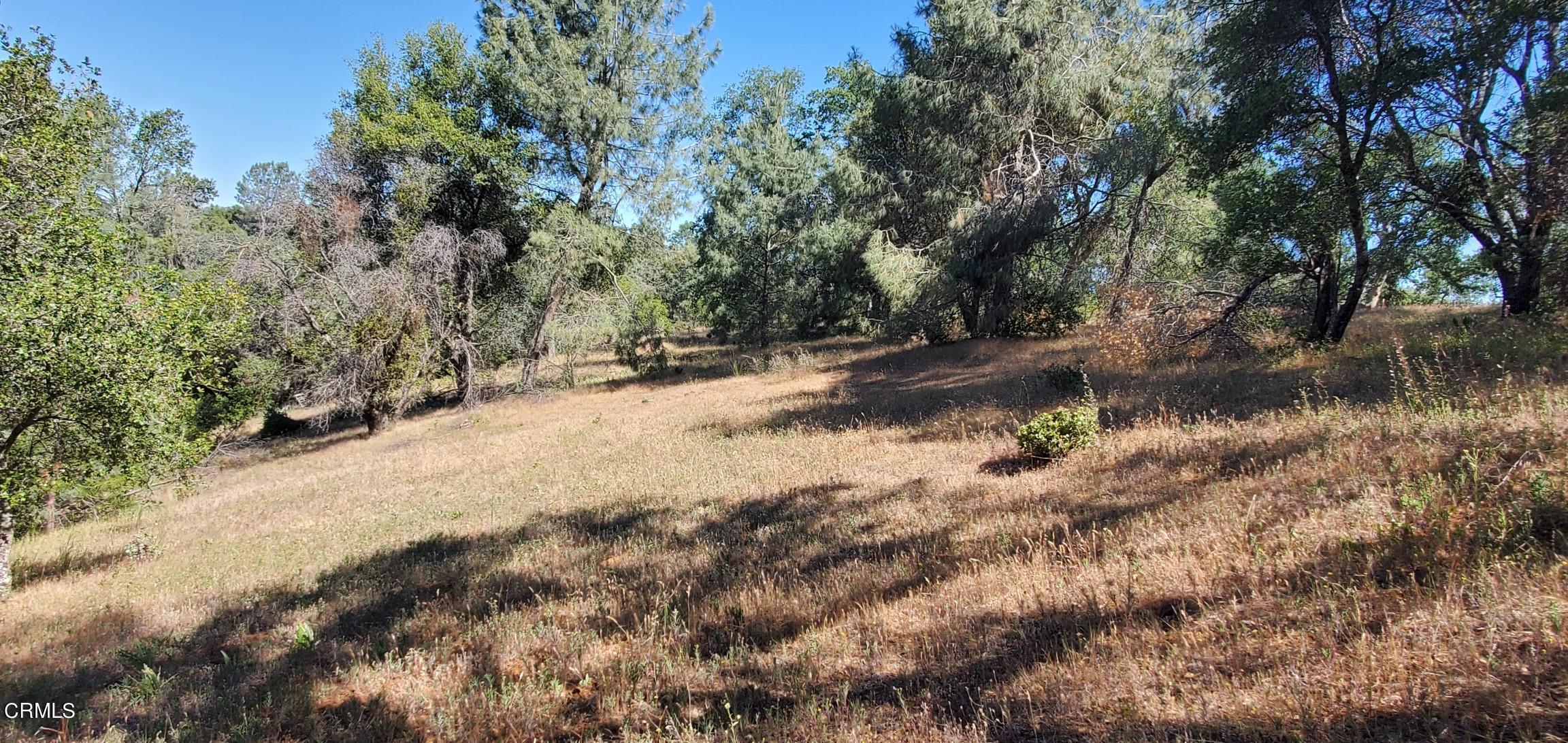 5835 Allred Road Mariposa, CA 95338 - Photo 8 of 14 QTm5t16244900068345