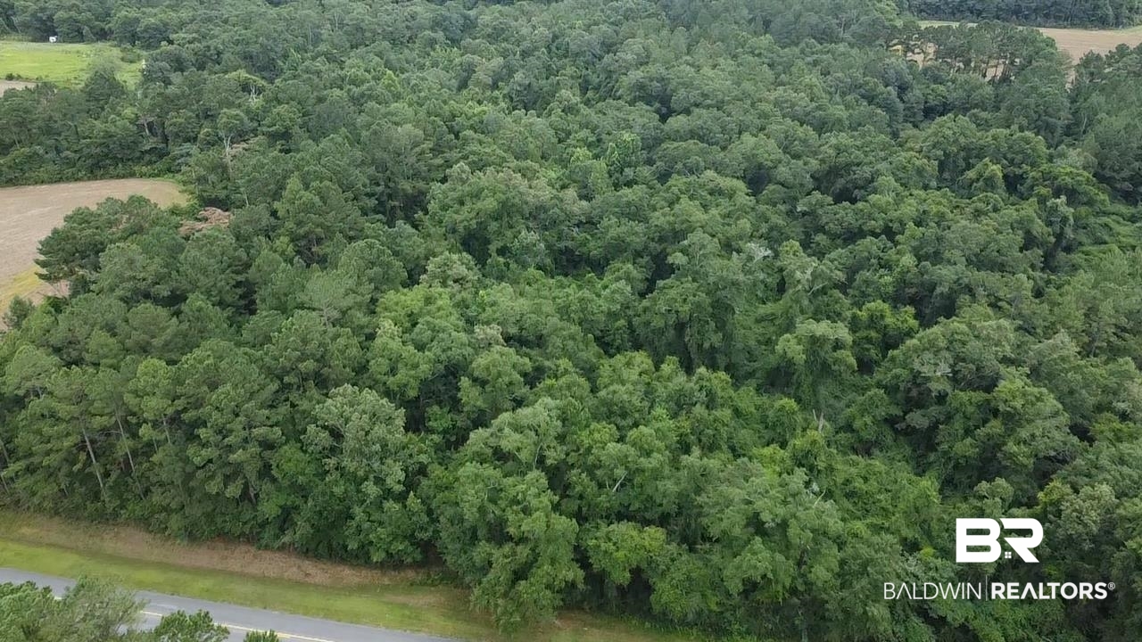 7600 Bratt Road Century, FL 32535 - Photo 29 of 41 Gallery Image 29