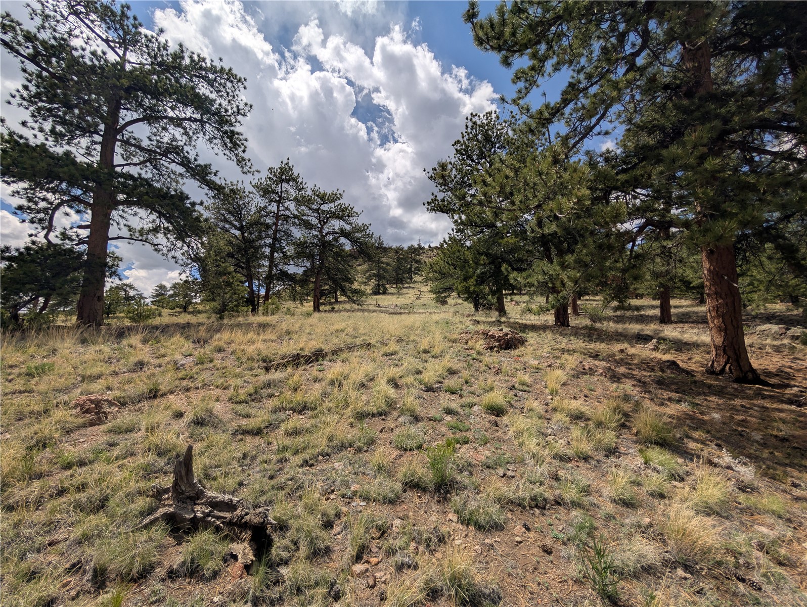 0 Black Beaver Road Hartsel, CO 80449 - Photo 23 of 28 Gallery Image 23