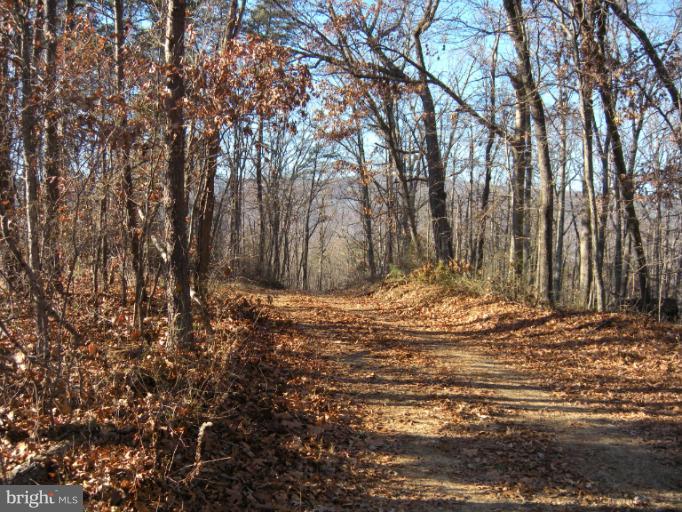 443 Star Tannery Road Star Tannery, VA 22654 - Photo 11 of 11 View