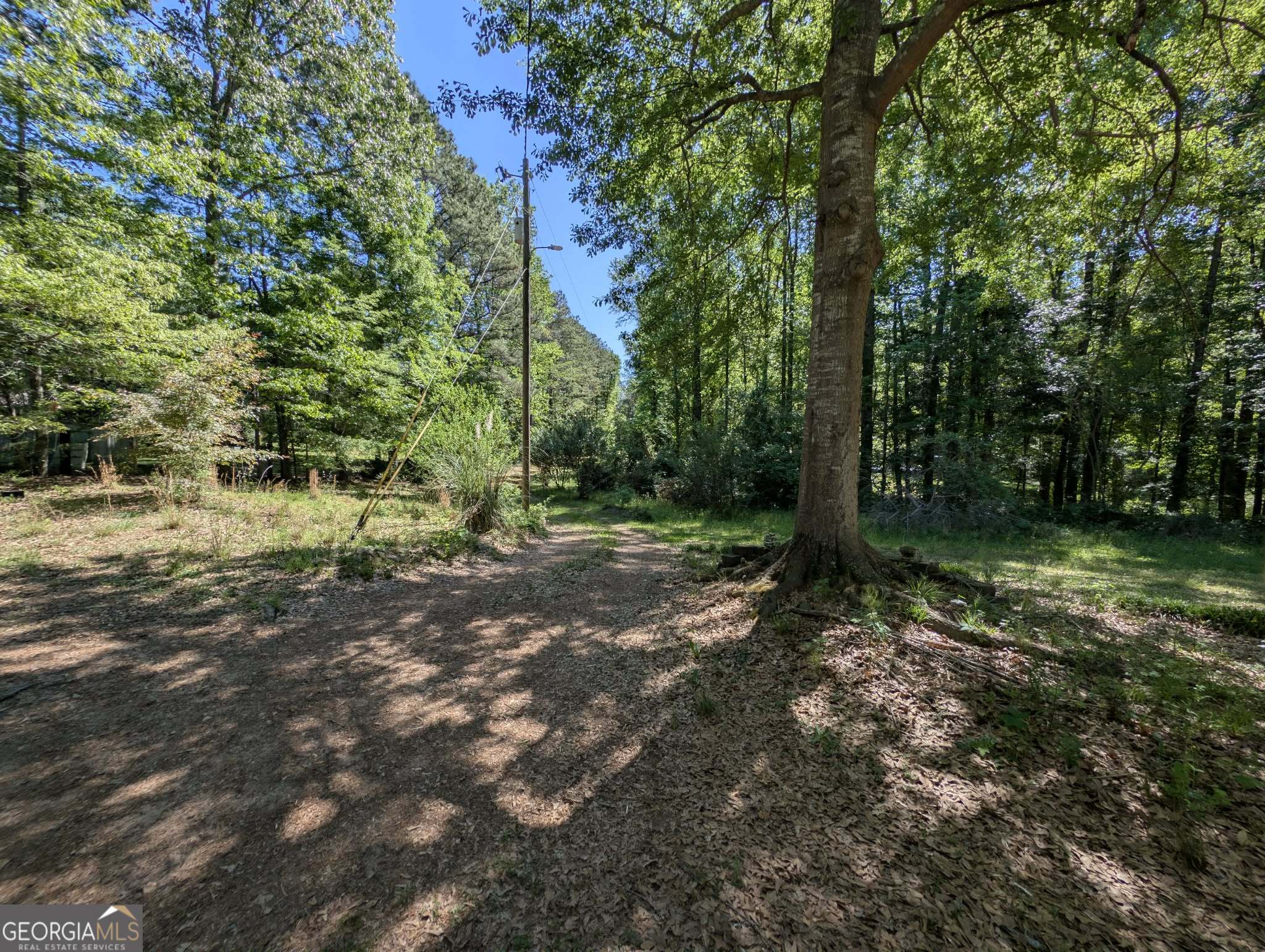 460 Etheridge Mill Road Milner, GA 30257 - Photo 24 of 27 a view of a forest with trees in the background