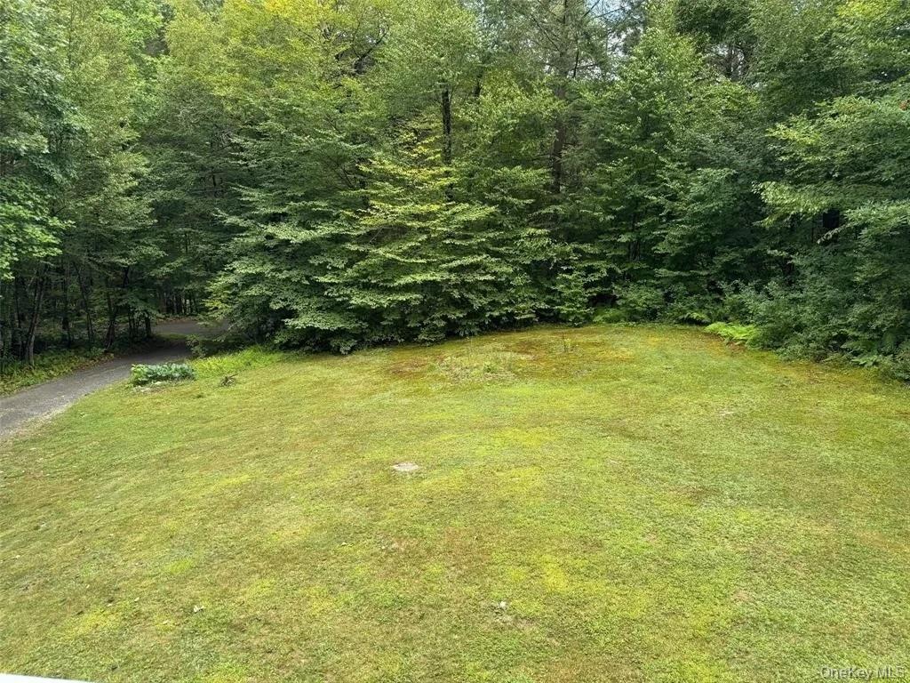 2553 Bouchouxville Road Hancock, NY 13783 - Photo 2 of 18