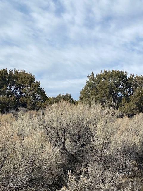 Wong Way Spring Creek Spring Creek, NV 89815 - Photo 7 of 8