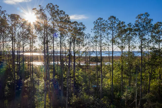 $1,964,900 | 2296 Minifarm Way, Unit 525, Mount Pleasant, SC 29466