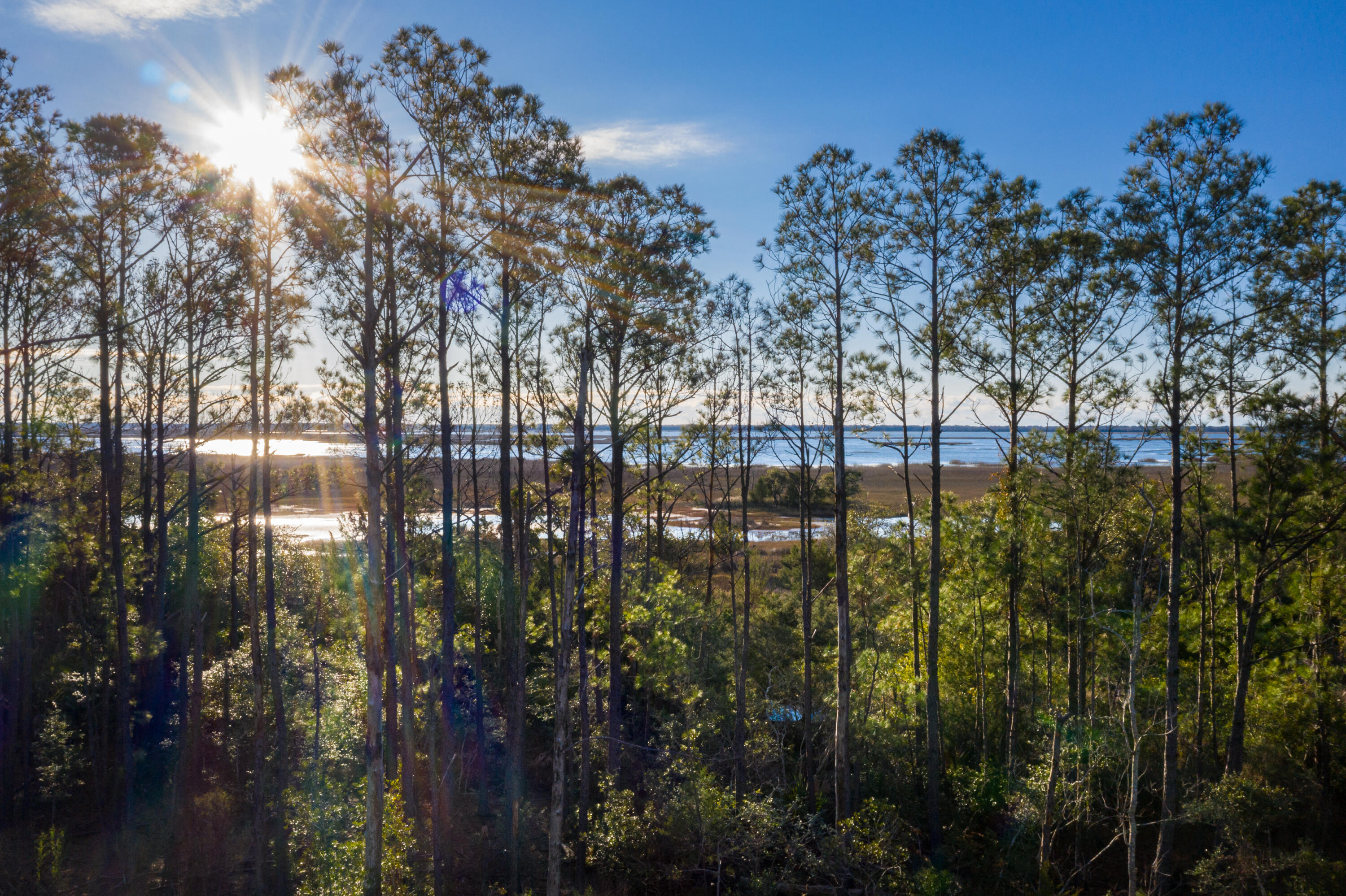 2296 Minifarm Way, Unit 525 Mount Pleasant, SC 29466 - Photo 1 of 66 LibertyHillFarmD2-KeenEyeMarketing-4