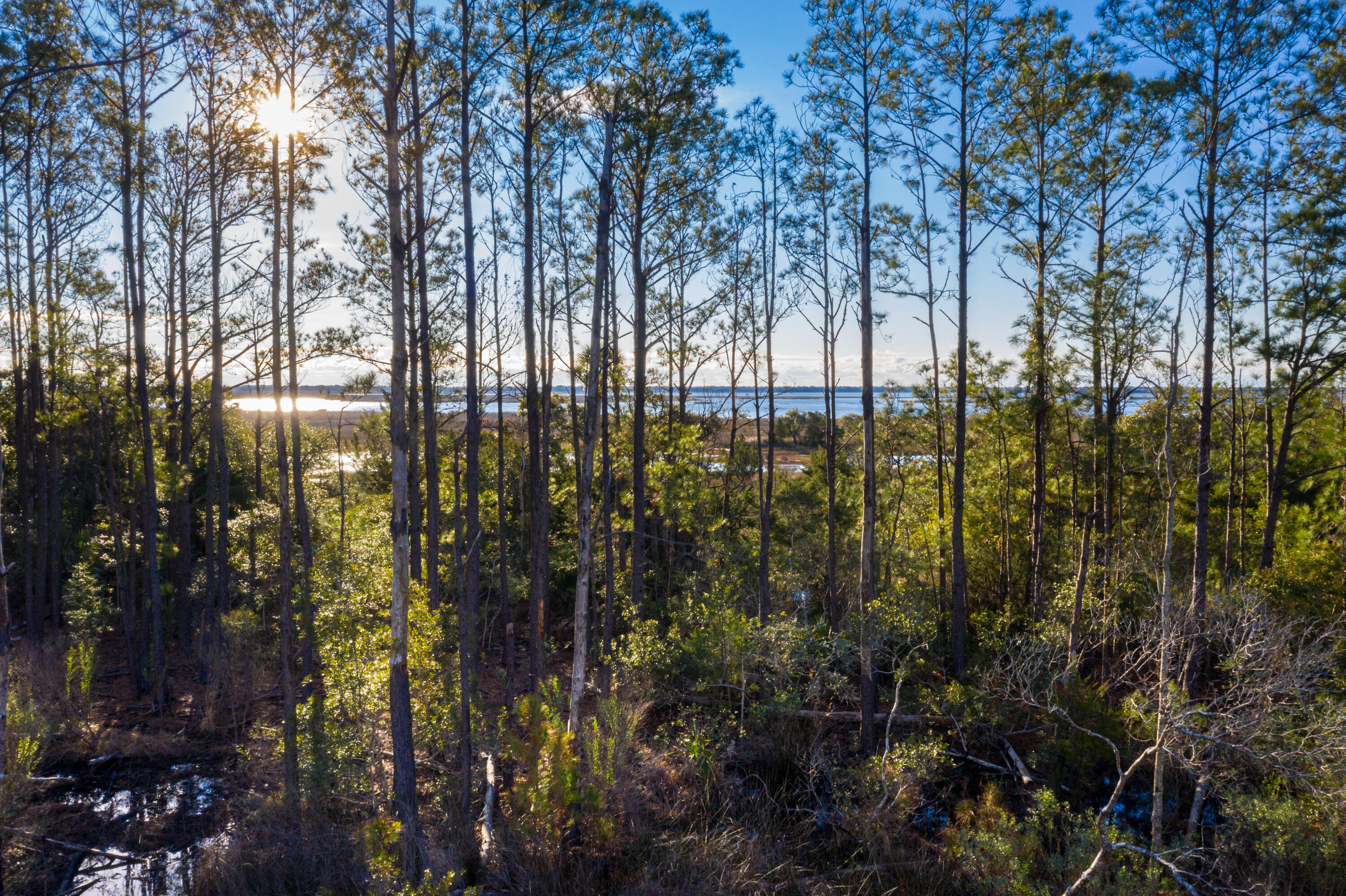 2296 Minifarm Way, Unit 525 Mount Pleasant, SC 29466 - Photo 5 of 71 LibertyHillFarmD2-KeenEyeMarketing-3