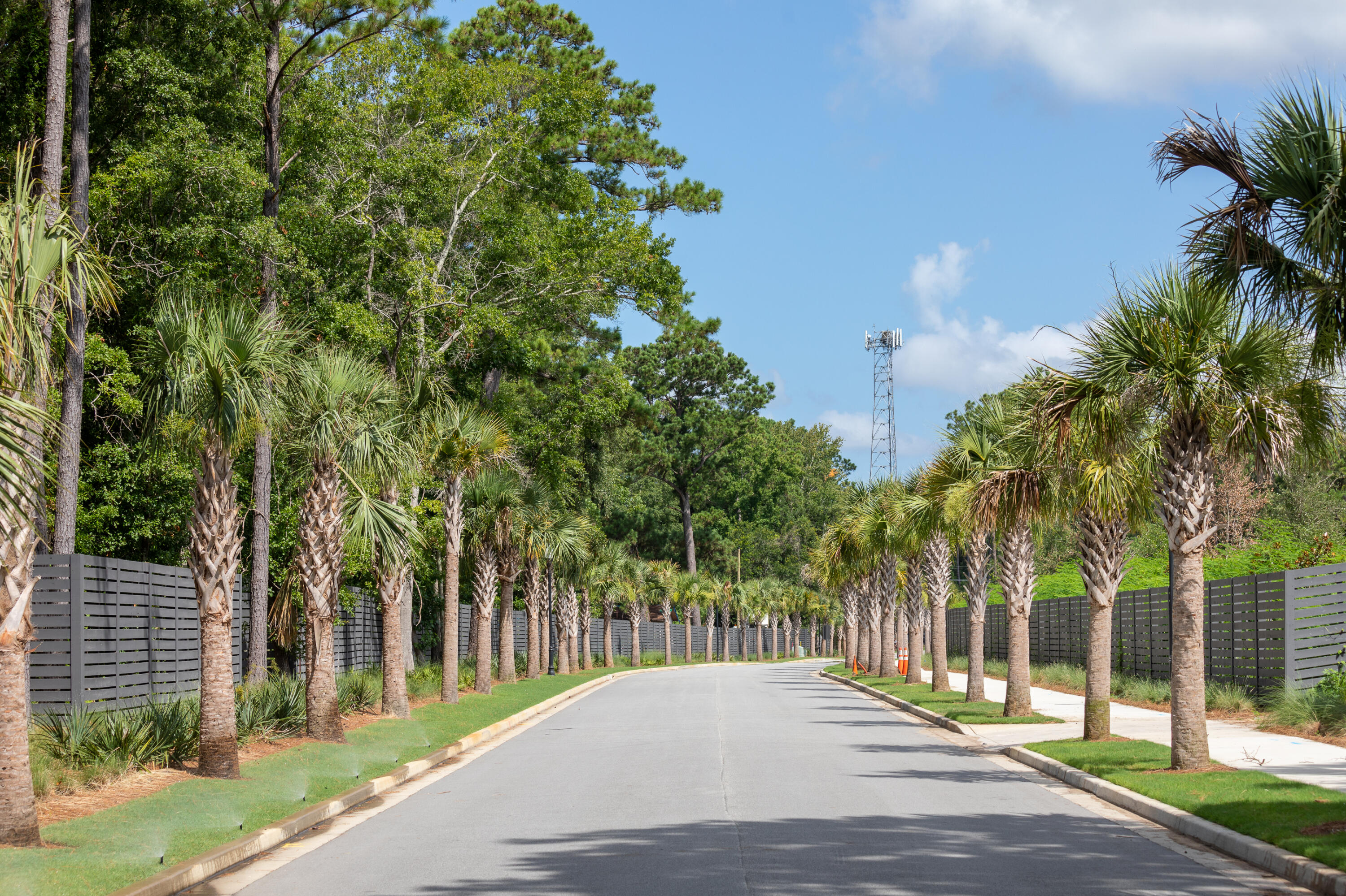 2296 Minifarm Way, Unit 525 Mount Pleasant, SC 29466 - Photo 52 of 71 LibertyHillFarm-(48)