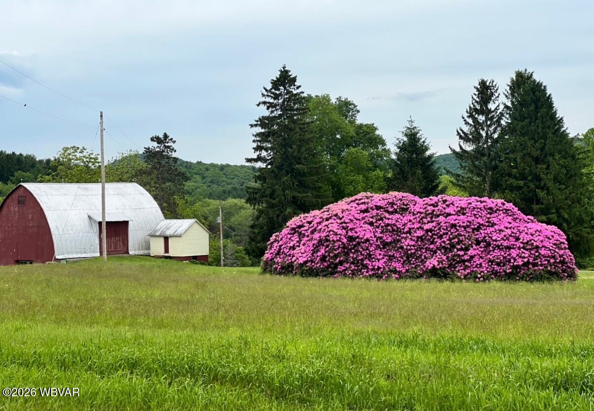 42 Lower Rynearson Road Hughesville, PA 17737 - Photo 42 of 50 Gallery Image 42