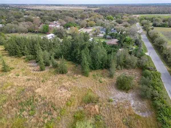 an aerial view of forest