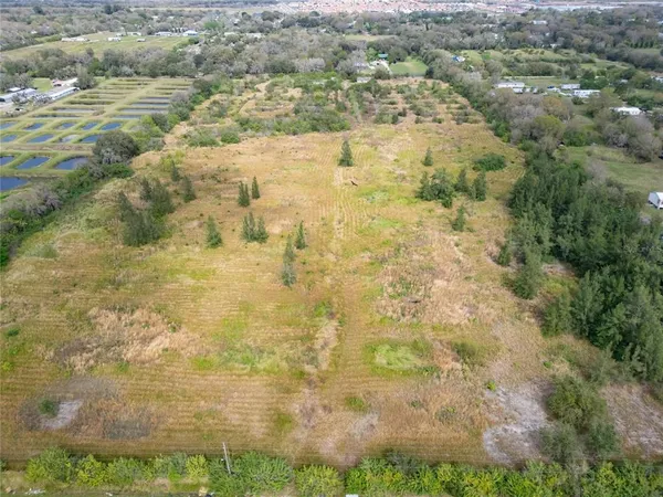 a view of residential space and tree