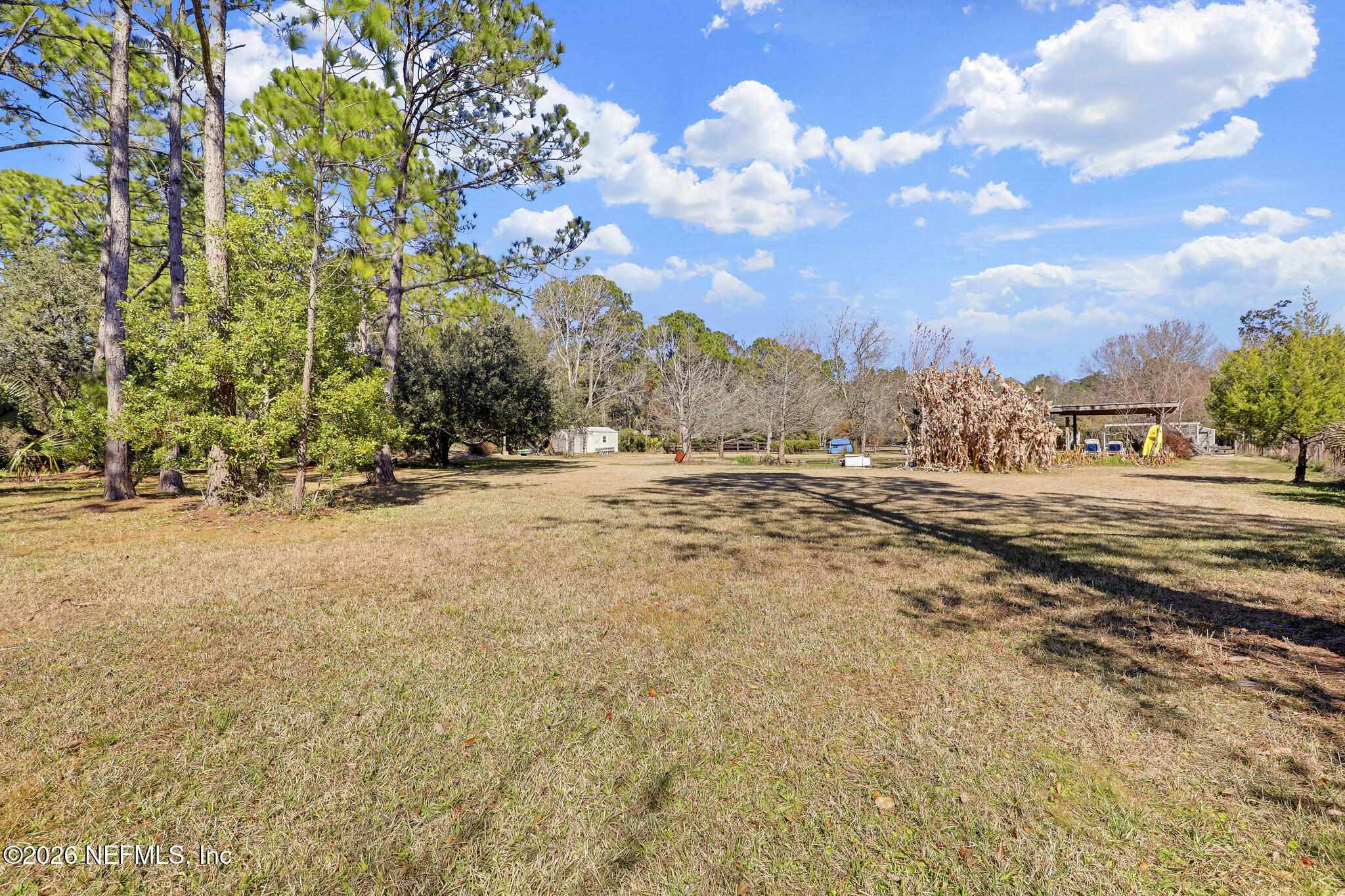 6901 Catlett Road St. Augustine, FL 32095 - Photo 54 of 74 a view of dirt yard with a large tree