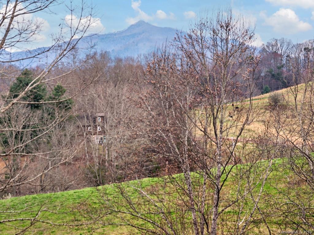 660 Edwards Cove Road Waynesville, NC 28786 - Photo 23 of 24