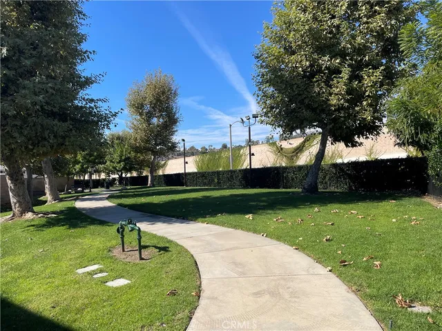 a swimming pool with lots of trees in the background