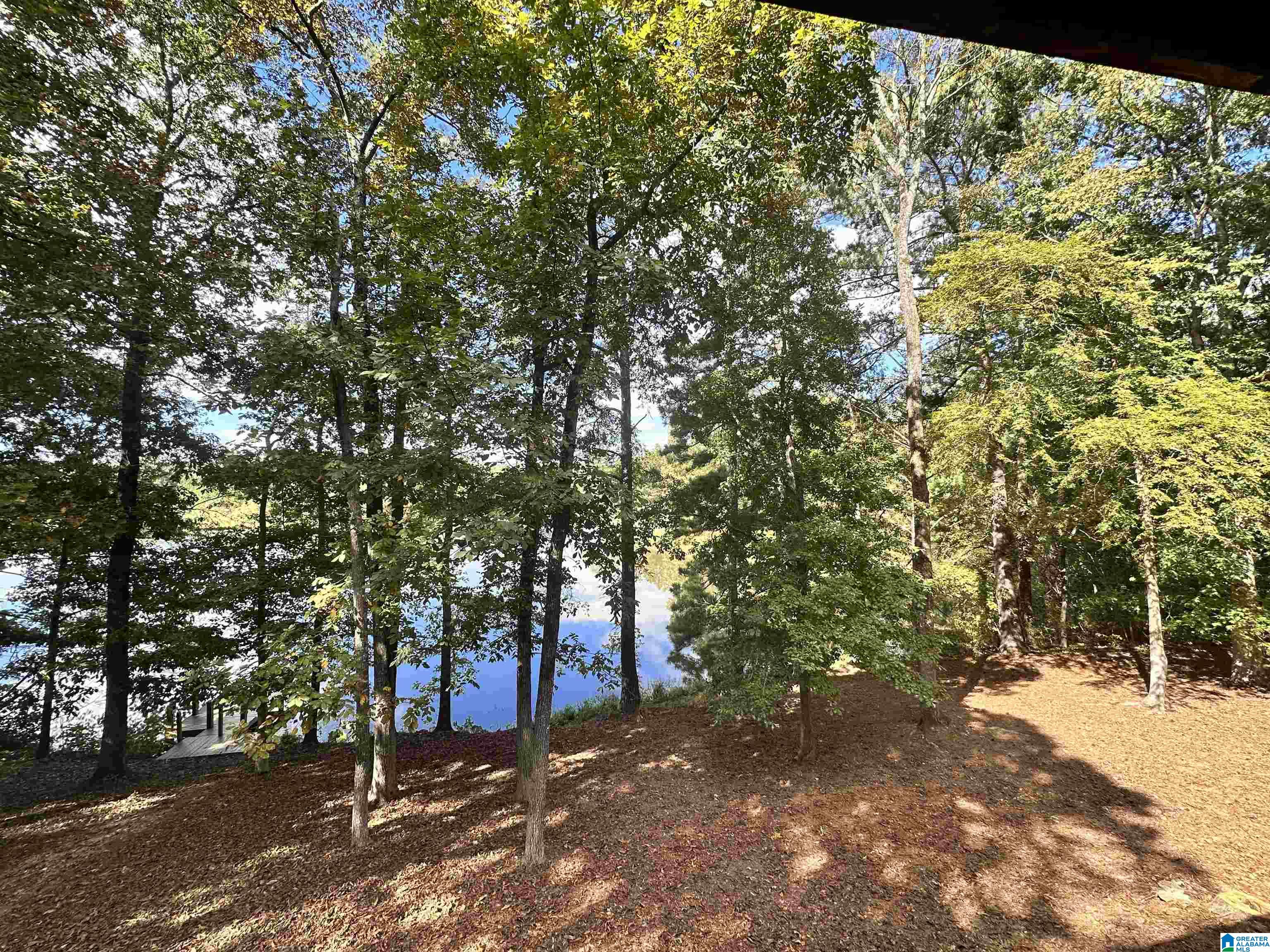 8 Seddon Point Pell City, AL 35128 - Photo 11 of 56