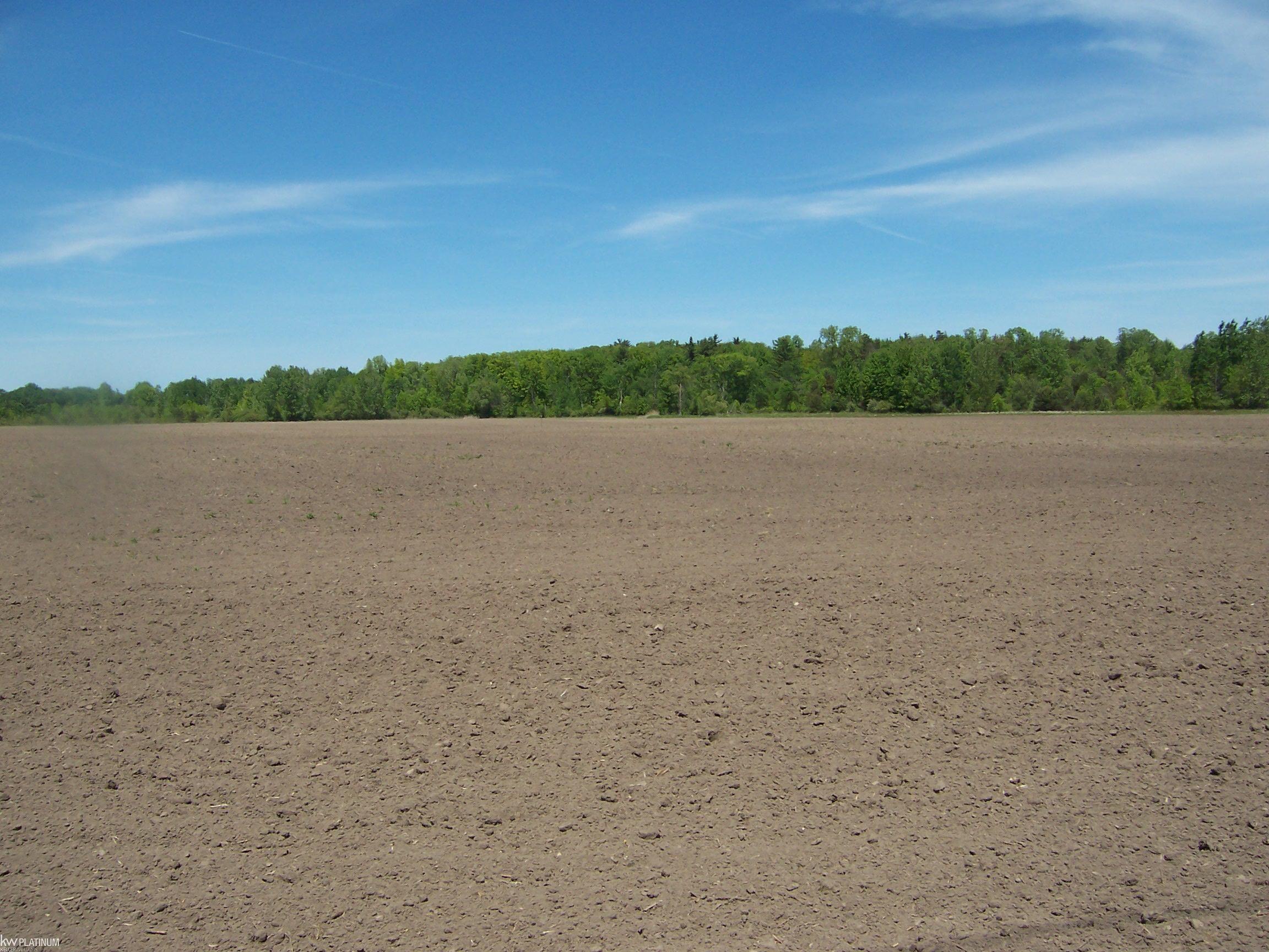 Lot 6 Lapeer Road Smiths Creek, MI 48074 - Photo 1 of 2