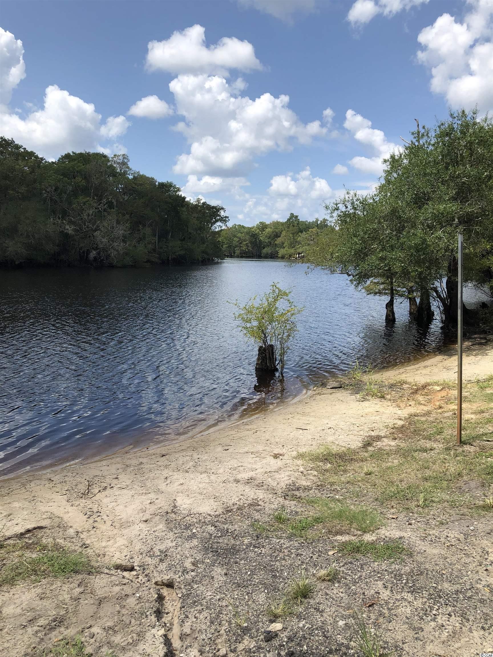 4237 Black Island Road Galivants Ferry, SC 29544 - Photo 11 of 12 Gallery Image 11