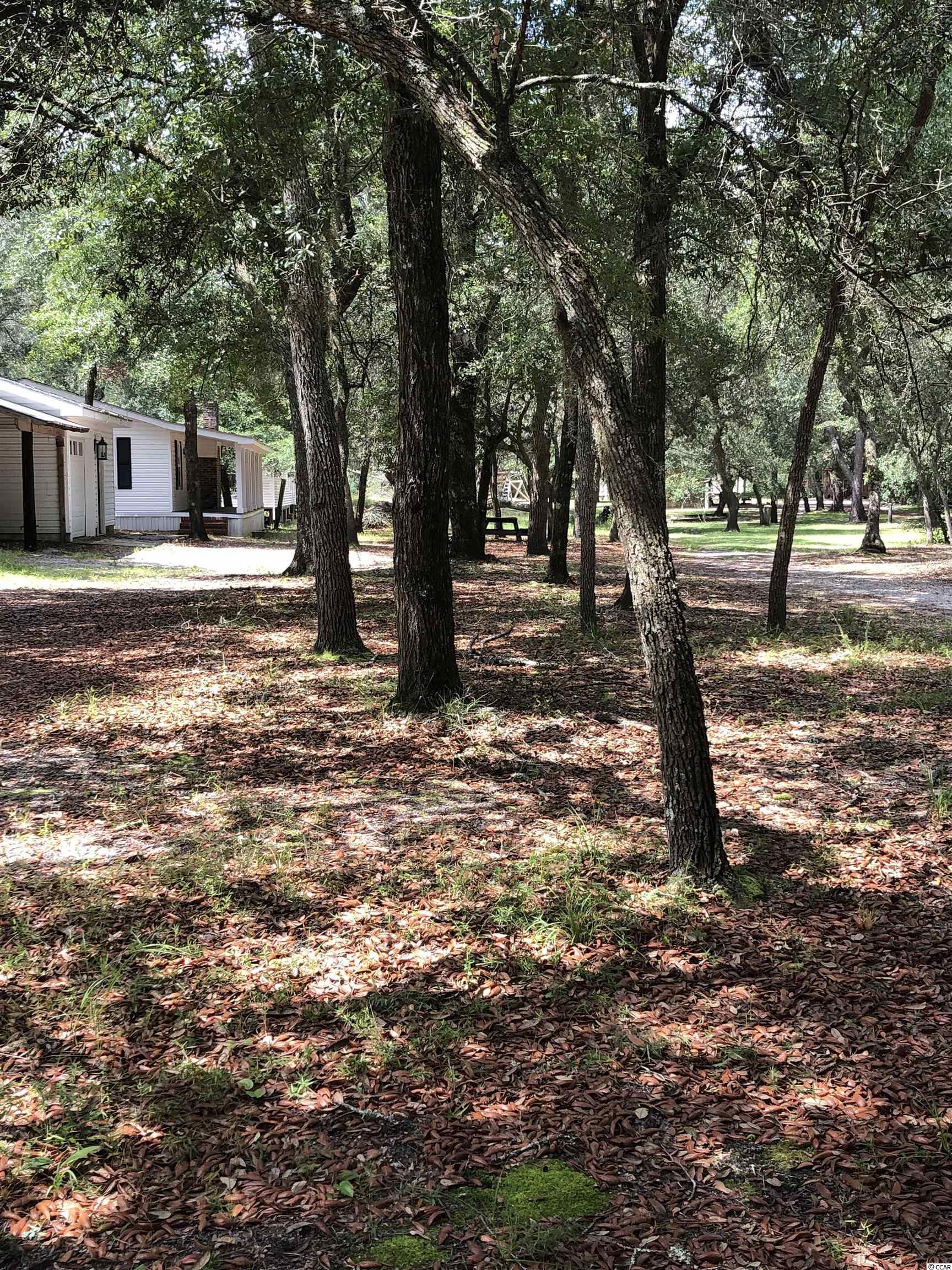 4237 Black Island Road Galivants Ferry, SC 29544 - Photo 4 of 12 Gallery Image 4