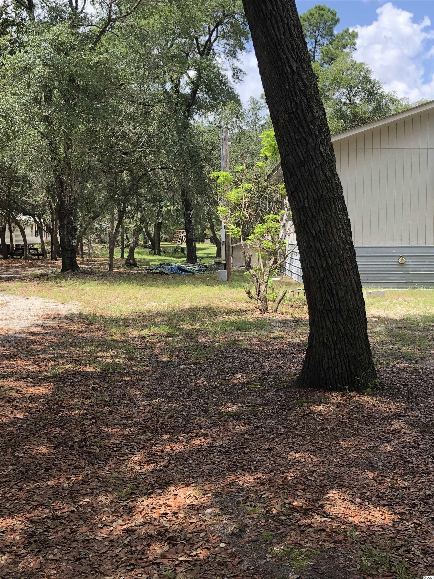 4237 Black Island Road Galivants Ferry, SC 29544 - Photo 10 of 12 Gallery Image 10