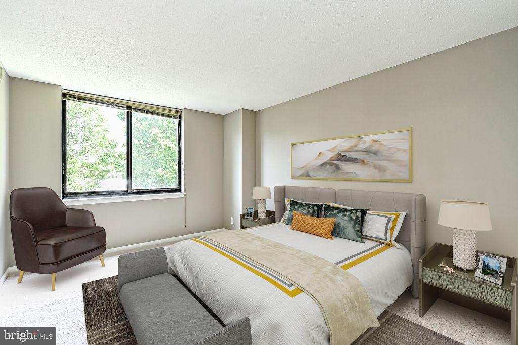 5501 Seminary Road, Unit 104S Falls Church, VA 22041 - Photo 31 of 42