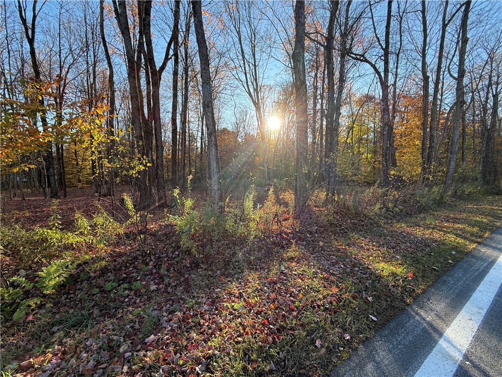 23 County Route Constantia, NY 13044 - Photo 12 of 49