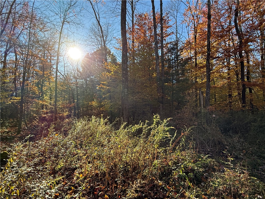 23 County Route Constantia, NY 13044 - Photo 16 of 49