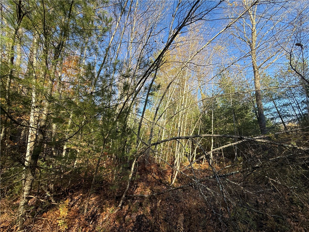 23 County Route Constantia, NY 13044 - Photo 19 of 49