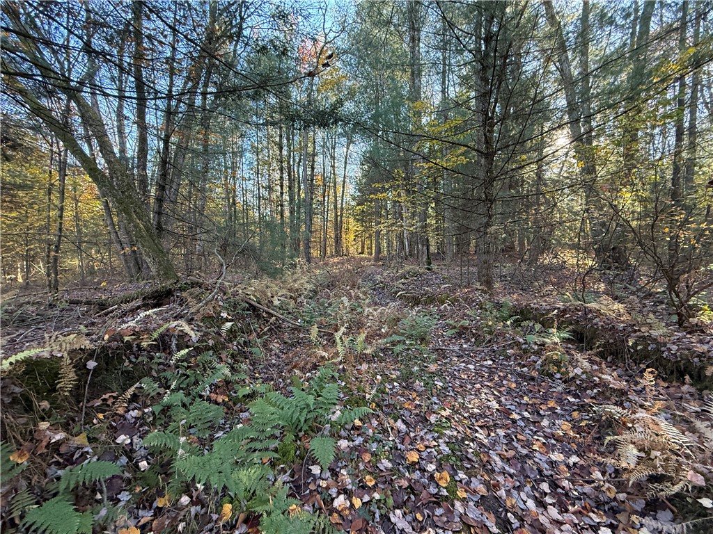 23 County Route Constantia, NY 13044 - Photo 20 of 49